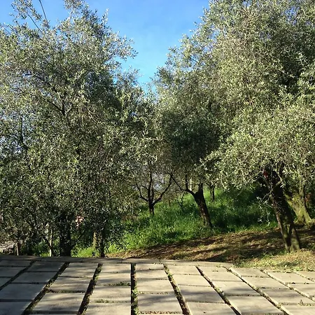 Casa Aquarela 3* Cogorno